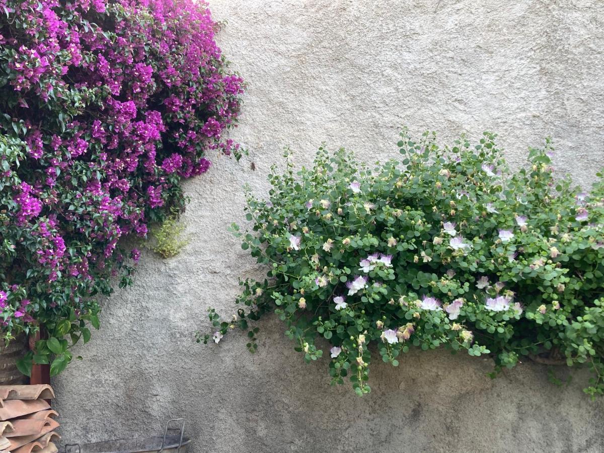 L'Antico Borgo Bed & Breakfast Milazzo Exterior photo